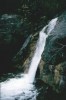 Thumbs/tn_055Domville Creek.jpg